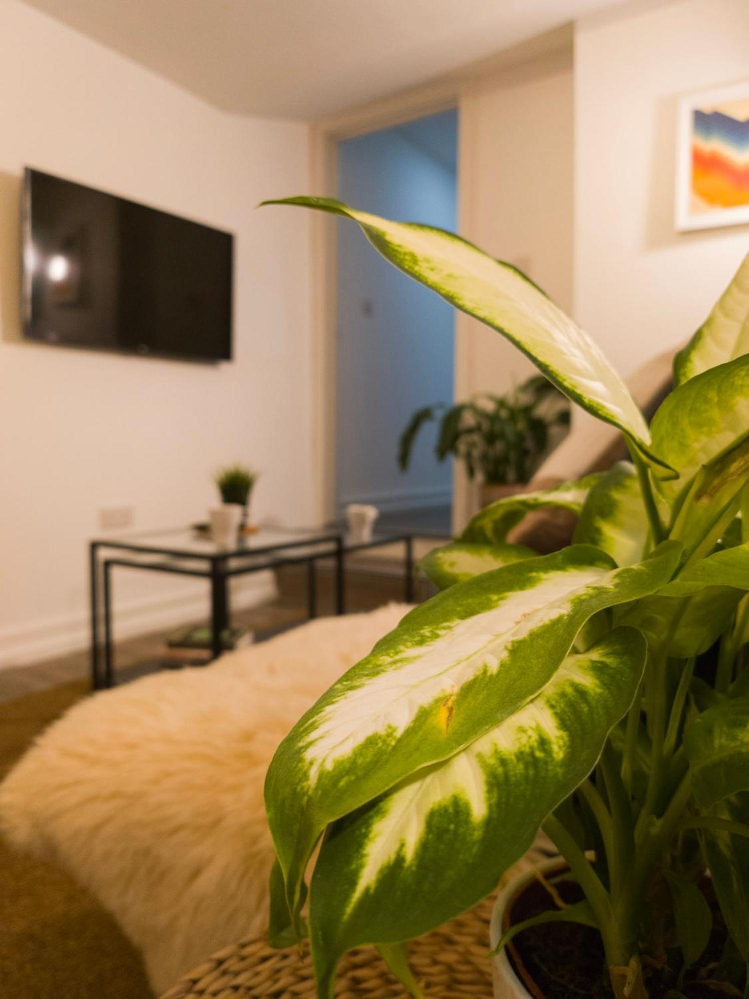 Plenty Of Parking Available; 3 Bedroom Apartment By Property Promise Cardiff Extérieur photo